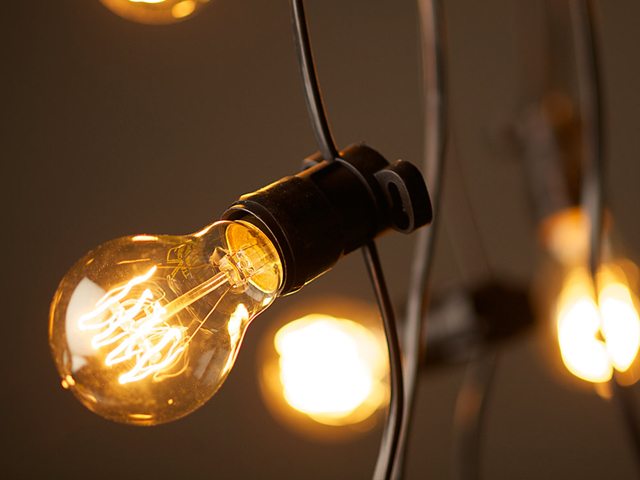 Festoon Lights